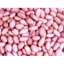 New Crop High Quality Red Skin Peanut Kernels (24/28, 28/32)
